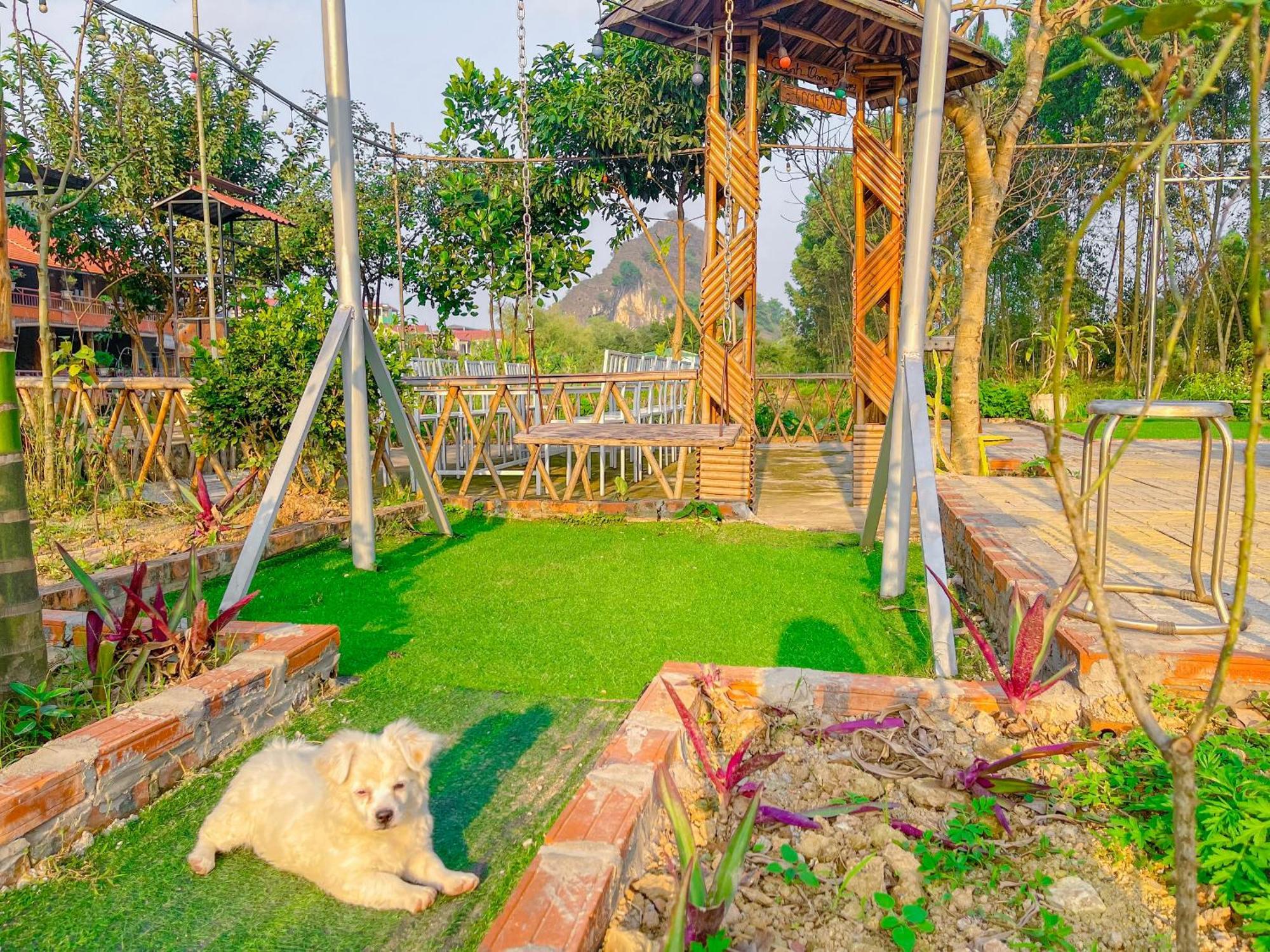 Trang An Quynh Trang Happy Homestay & Garden ニンビン エクステリア 写真