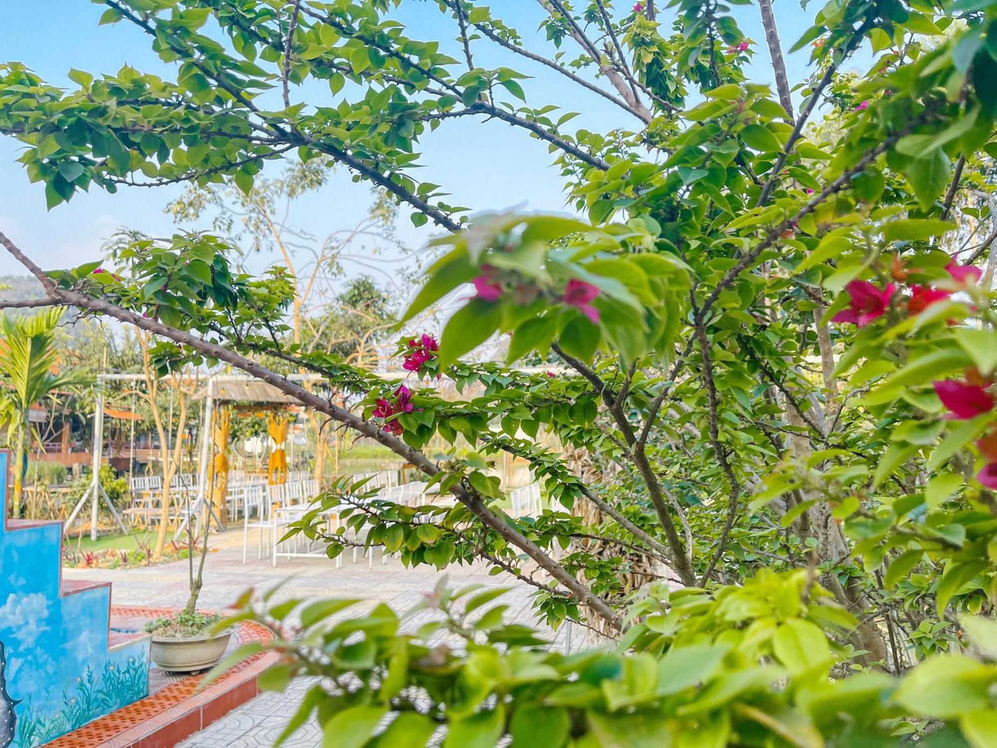 Trang An Quynh Trang Happy Homestay & Garden ニンビン エクステリア 写真