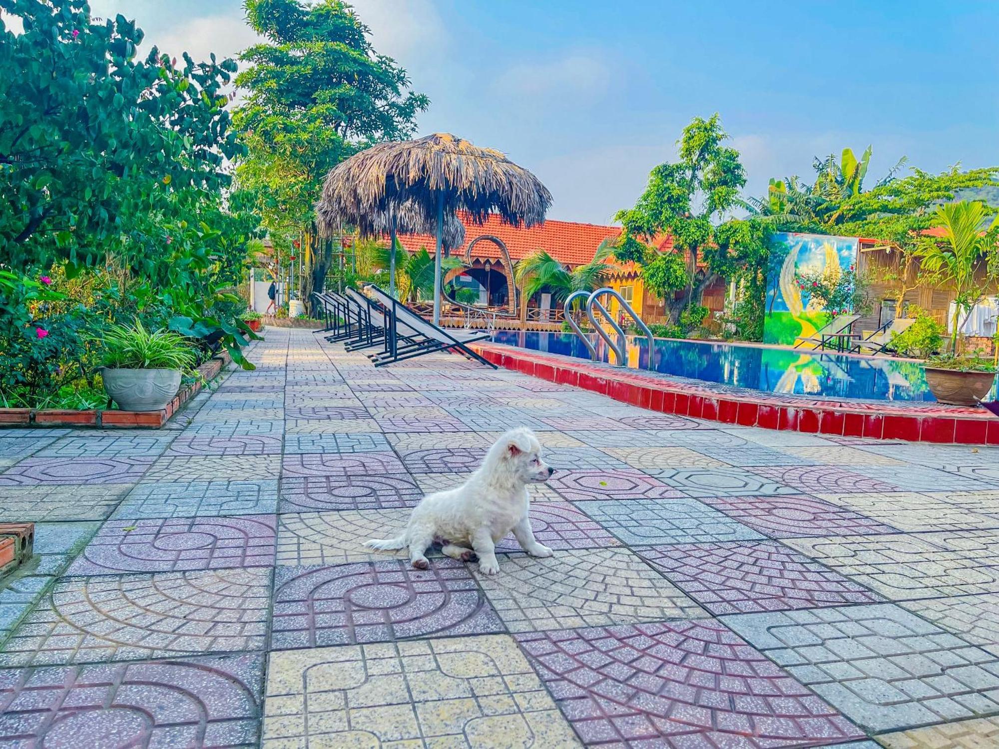 Trang An Quynh Trang Happy Homestay & Garden ニンビン エクステリア 写真