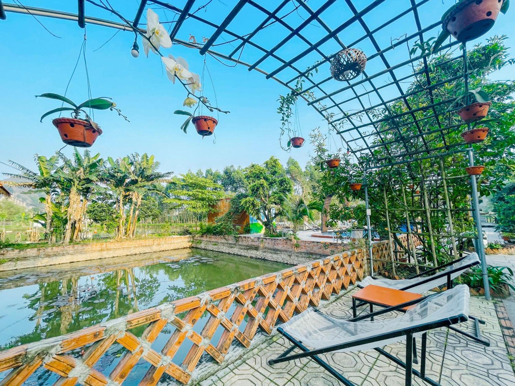 Trang An Quynh Trang Happy Homestay & Garden ニンビン エクステリア 写真
